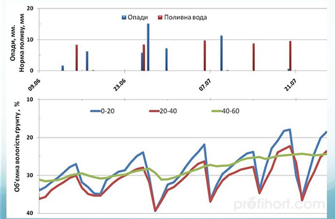 Фрагмент режиму краплинного зрошення малини 4-го року вегетації; продуктивні опади, об'ємна вологість ґрунту