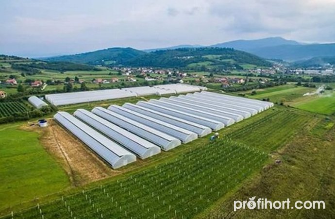 Malina_20_05_2