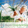 Bayer CropScience