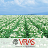 VR AgriSolutions (ВРАС)