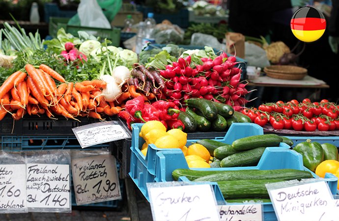 Dark Markets Bolivia