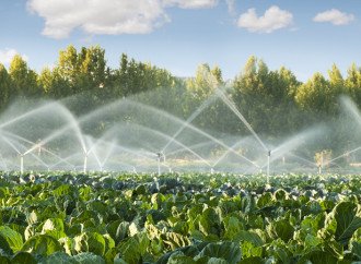 Сельское хозяйство и вода в Европейском Союзе