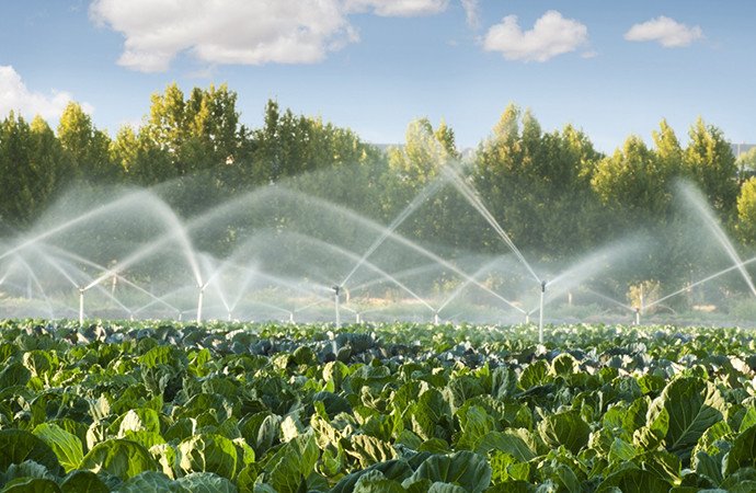 Сельское хозяйство и вода в Европейском Союзе