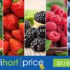 Моніторинг та аналіз цін на ягоди