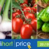 Моніторинг та аналіз цін на часник, томат та огірок