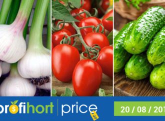 Моніторинг та аналіз цін на часник, томат та огірок