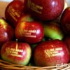 Польські виробники яблук страждають через перевиробництво