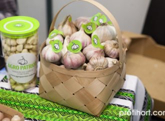 СВІТОВИЙ РИНОК ЧАСНИКУ
