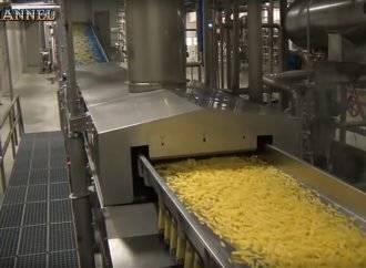 Автоматизована лінія для виробництва замороженої картоплі фрі