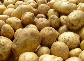 Світовий експорт картоплі у розрізі країн