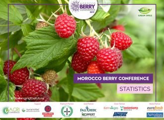 Ягідна конференція у Марокко