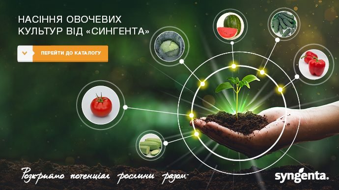 ТОП-3 помилки при вирощуванні в закритому ґрунті