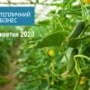 «Тепличний Бізнес 2020» — місце зустрічі тепличних інновацій в Україні