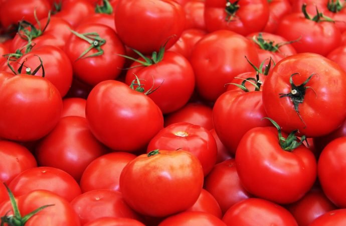 Світовий ринок томатів